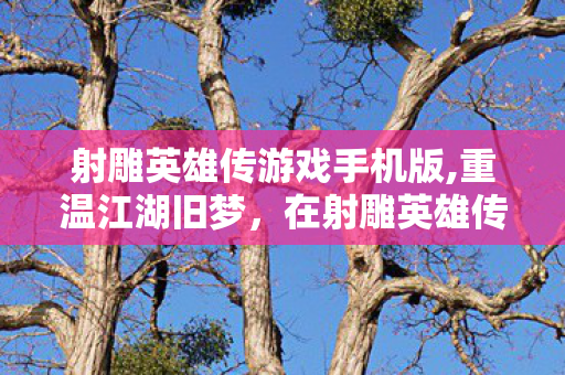 射雕英雄传游戏手机版,重温江湖旧梦，在射雕英雄传游戏里重走靖蓉侠义路