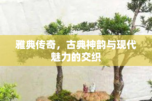 古典神韵与现代魅力的交织图片