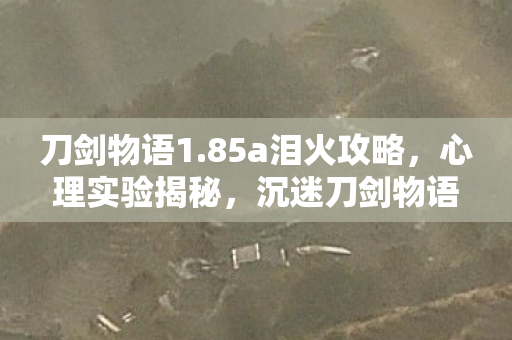 刀剑物语1.85a泪火攻略,心理实验揭秘,沉迷刀剑物语1.2竟是多巴胺的细思极恐陷阱 刀剑物语1.85a泪火攻略,心理实验揭秘,沉迷刀剑物语1.2竟是多巴胺的细思极恐陷阱