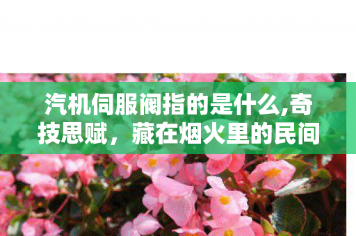 汽机伺服阀指的是什么,奇技思赋，藏在烟火里的民间巧艺浪漫