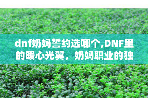 dnf奶妈誓约选哪个,DNF里的暖心光翼,奶妈职业的独特魅力与游玩日常 dnf奶妈誓约选哪个,DNF里的暖心光翼,奶妈职业的独特魅力与游玩日常
