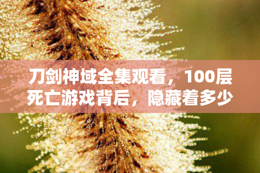 刀剑神域全集观看，100层死亡游戏背后，隐藏着多少未解之谜？