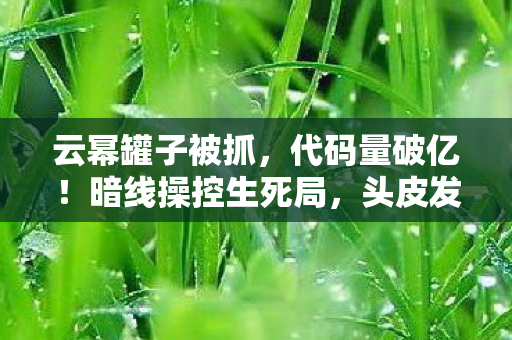 云幂罐子被抓,代码量破亿!暗线操控生死局,头皮发麻的云幂罐子终极博弈 云幂罐子被抓,代码量破亿!暗线操控生死局,头皮发麻的云幂罐子终极博弈