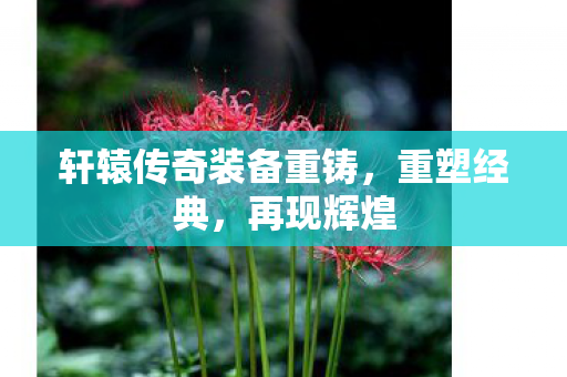 轩辕传奇装备重铸图片