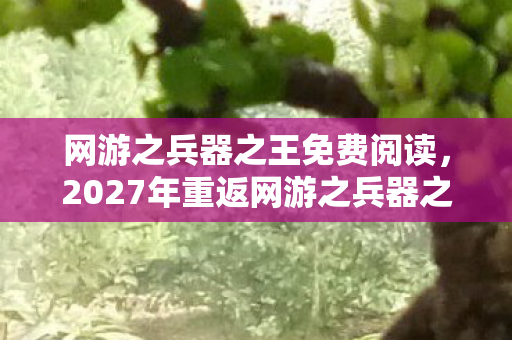 网游之兵器之王免费阅读，2027年重返网游之兵器之王，伏笔揭开旧情，鼻子一酸泪满襟