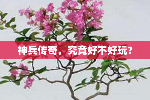 究竟好不好玩图片