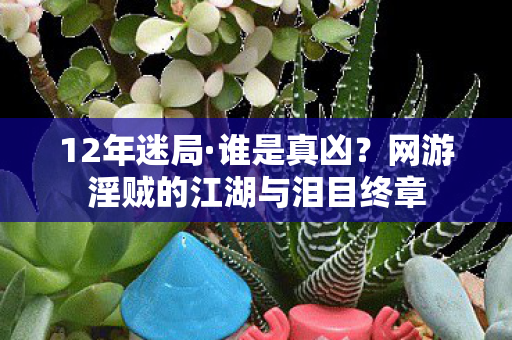 12年迷局·谁是真凶？网游淫贼的江湖与泪目终章