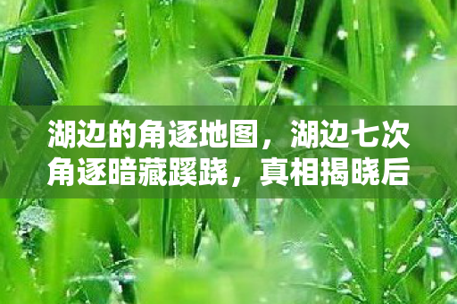 湖边的角逐地图，湖边七次角逐暗藏蹊跷，真相揭晓后背发凉！