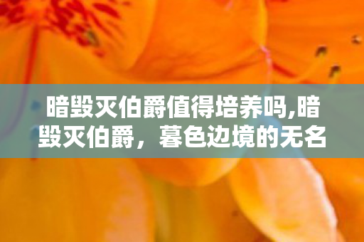 暗毁灭伯爵值得培养吗,暗毁灭伯爵，暮色边境的无名守路者