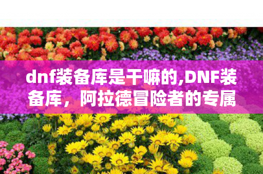dnf装备库是干嘛的,DNF装备库，阿拉德冒险者的专属成长百宝箱