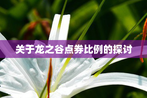 关于龙之谷点券比例的探讨图片