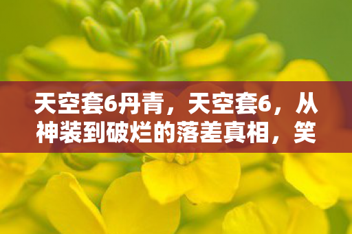 天空套6丹青，天空套6，从神装到破烂的落差真相，笑着笑着就哭了