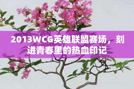 2013WCG英雄联盟赛场，刻进青春里的热血印记