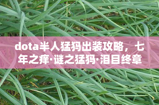 dota半人猛犸出装攻略，七年之痒·谜之猛犸·泪目终章当跳刀再也跳不出那个圈