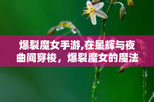 爆裂魔女手游,在星辉与夜曲间穿梭，爆裂魔女的魔法绮想冒险