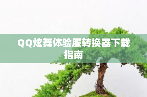 QQ炫舞体验服转换器下载指南图片