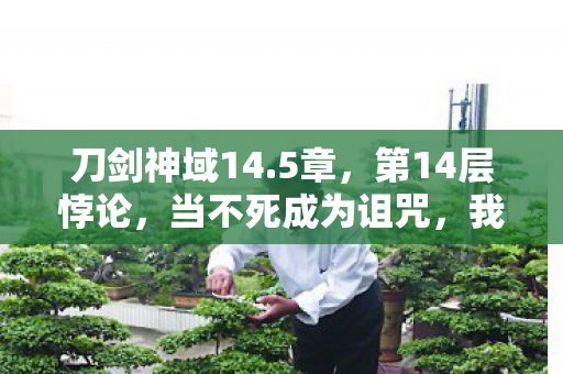 刀剑神域14.5章，第14层悖论，当不死成为诅咒，我的灵魂在数据深渊震颤