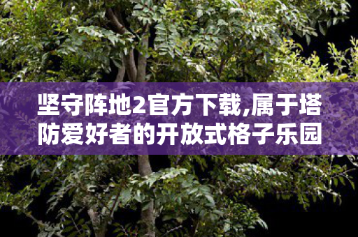 坚守阵地2官方下载,属于塔防爱好者的开放式格子乐园
