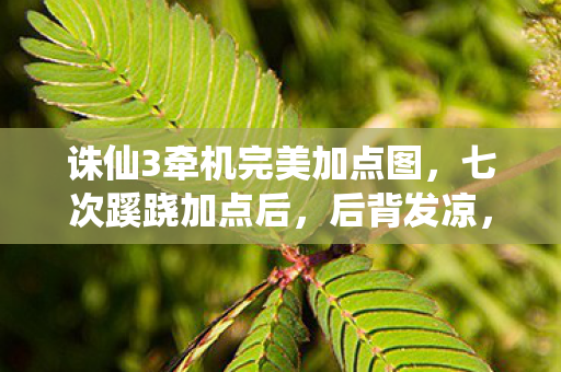 诛仙3牵机完美加点图，七次蹊跷加点后，后背发凉，诛仙3牵机竟把我当猴耍？