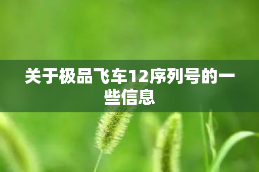 关于极品飞车12序列号的一些信息图片