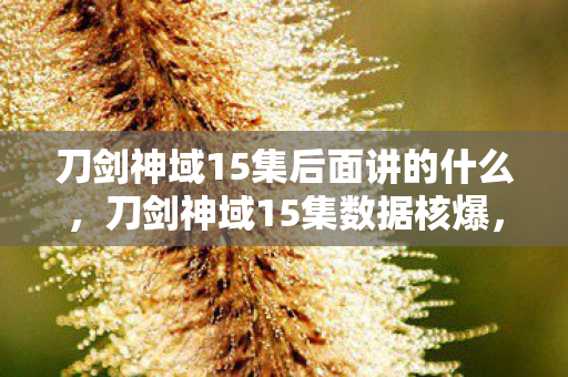 刀剑神域15集后面讲的什么,刀剑神域15集数据核爆,单集播放量破3.2亿,二次元经济链竟被它撕开万亿缺口? 刀剑神域15集后面讲的什么,刀剑神域15集数据核爆,单集播放量破3.2亿,二次元经济链竟被它撕开万亿缺口?