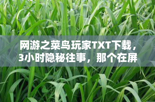 网游之菜鸟玩家TXT下载,3小时隐秘往事,那个在屏幕前哽咽的菜鸟玩家 网游之菜鸟玩家TXT下载,3小时隐秘往事,那个在屏幕前哽咽的菜鸟玩家