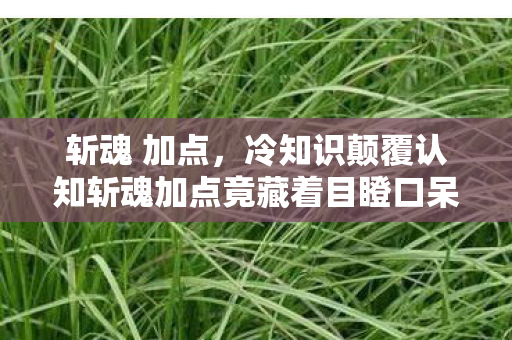 斩魂 加点，冷知识颠覆认知斩魂加点竟藏着目瞪口呆的数学黑洞！