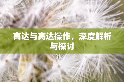 高达与高达操作图片