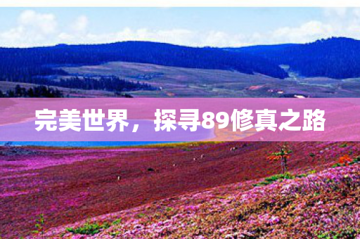 探寻89修真之路图片