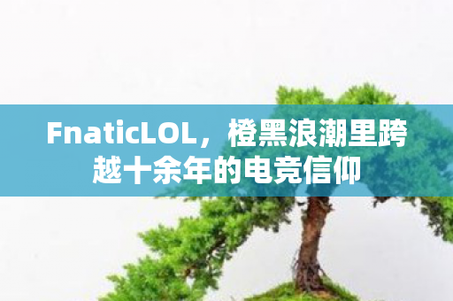 FnaticLOL,橙黑浪潮里跨越十余年的电竞信仰 FnaticLOL,橙黑浪潮里跨越十余年的电竞信仰