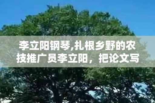 李立阳钢琴,扎根乡野的农技推广员李立阳,把论文写在田埂上 李立阳钢琴,扎根乡野的农技推广员李立阳,把论文写在田埂上