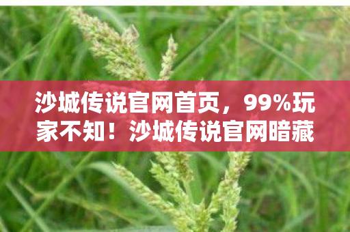 沙城传说官网首页,99%玩家不知!沙城传说官网暗藏逆天机制,颠覆你的游戏认知! 沙城传说官网首页,99%玩家不知!沙城传说官网暗藏逆天机制,颠覆你的游戏认知!