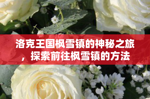 洛克王国枫雪镇的神秘之旅图片
