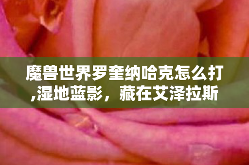 魔兽世界罗奎纳哈克怎么打,湿地蓝影,藏在艾泽拉斯荒野里的罗奎纳哈克 魔兽世界罗奎纳哈克怎么打,湿地蓝影,藏在艾泽拉斯荒野里的罗奎纳哈克