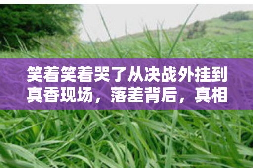 笑着笑着哭了从决战外挂到真香现场，落差背后，真相竟是我自己