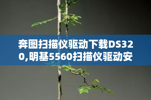 奔图扫描仪驱动下载DS320,明基5560扫描仪驱动安装与调试全指南 唤醒老设备的高效扫描能力 奔图扫描仪驱动下载DS320,明基5560扫描仪驱动安装与调试全指南 唤醒老设备的高效扫描能力
