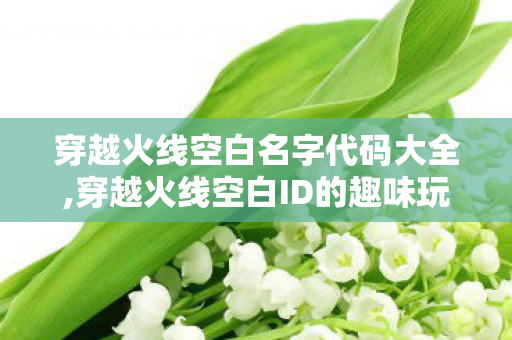穿越火线空白名字代码大全,穿越火线空白ID的趣味玩法与青春回忆