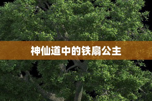 神仙道中的铁扇公主图片