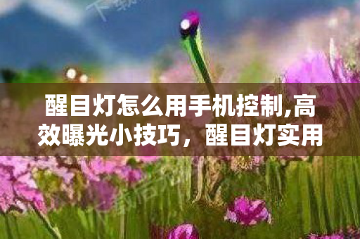 醒目灯怎么用手机控制,高效曝光小技巧,醒目灯实用使用全指南 醒目灯怎么用手机控制,高效曝光小技巧,醒目灯实用使用全指南