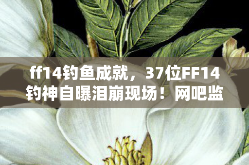 ff14钓鱼成就,37位FF14钓神自曝泪崩现场!网吧监控拍下绷不住名场面 ff14钓鱼成就,37位FF14钓神自曝泪崩现场!网吧监控拍下绷不住名场面