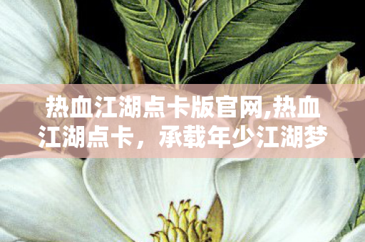 热血江湖点卡版官网,热血江湖点卡,承载年少江湖梦的温暖印记 热血江湖点卡版官网,热血江湖点卡,承载年少江湖梦的温暖印记