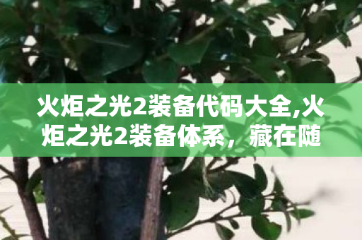火炬之光2装备代码大全,火炬之光2装备体系，藏在随机词条里的ARPG刷装乐趣