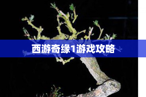 西游奇缘1游戏攻略图片