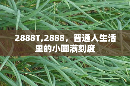 2888T,2888,普通人生活里的小圆满刻度 2888T,2888,普通人生活里的小圆满刻度