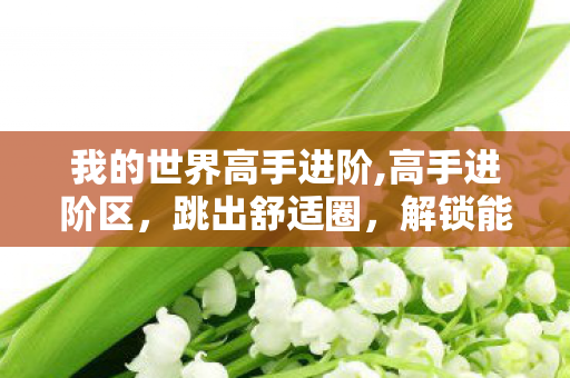 我的世界高手进阶,高手进阶区，跳出舒适圈，解锁能力成长的第二曲线