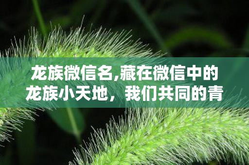 龙族微信名,藏在微信中的龙族小天地，我们共同的青春注脚