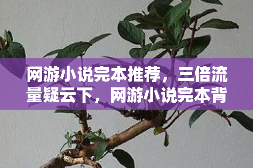 网游小说完本推荐,三倍流量疑云下,网游小说完本背后竟藏着让玩家心寒的真相 网游小说完本推荐,三倍流量疑云下,网游小说完本背后竟藏着让玩家心寒的真相