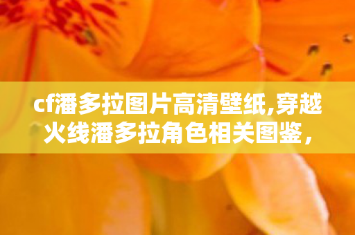 cf潘多拉图片高清壁纸,穿越火线潘多拉角色相关图鉴,属于老玩家的热血情怀印记 cf潘多拉图片高清壁纸,穿越火线潘多拉角色相关图鉴,属于老玩家的热血情怀印记