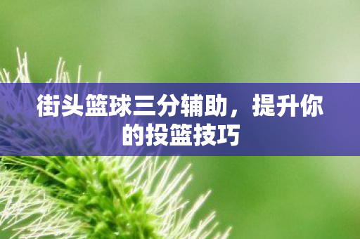 街头篮球三分辅助图片