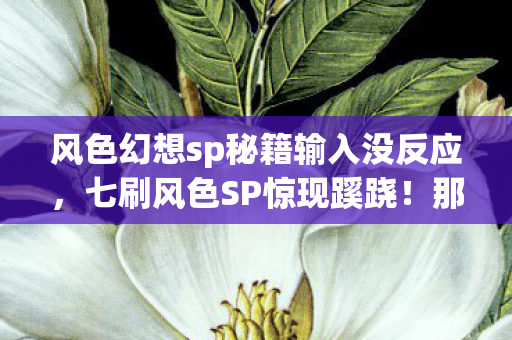 风色幻想sp秘籍输入没反应，七刷风色SP惊现蹊跷！那些隐藏真相让人后背发凉